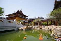 人心是“池”——观崇明寿安寺放生池有感