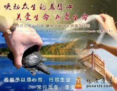 广大善信踊跃随喜乐助 参加本网首届放生活动
