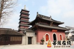 《菩萨在线》大型放生即将开幕